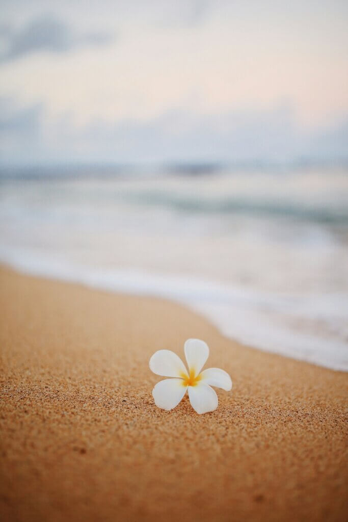 JOURNEE-A-THEME-JUILLET-HAWAI