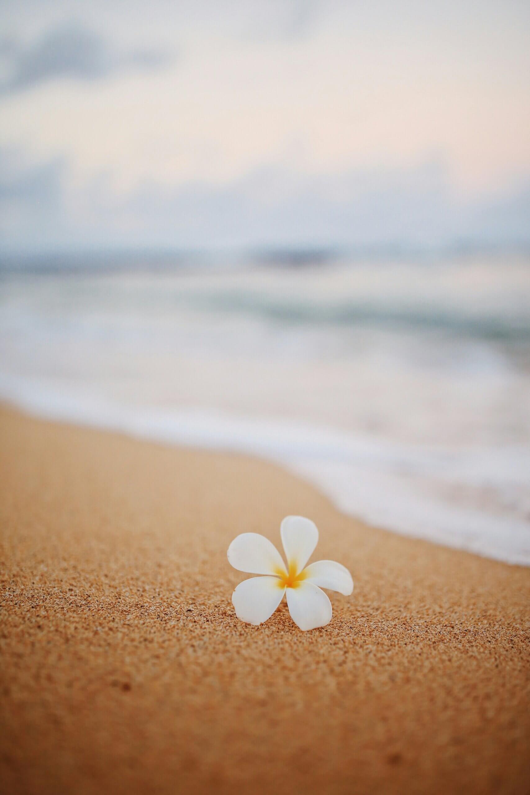 JOURNEE-A-THEME-JUILLET-HAWAI