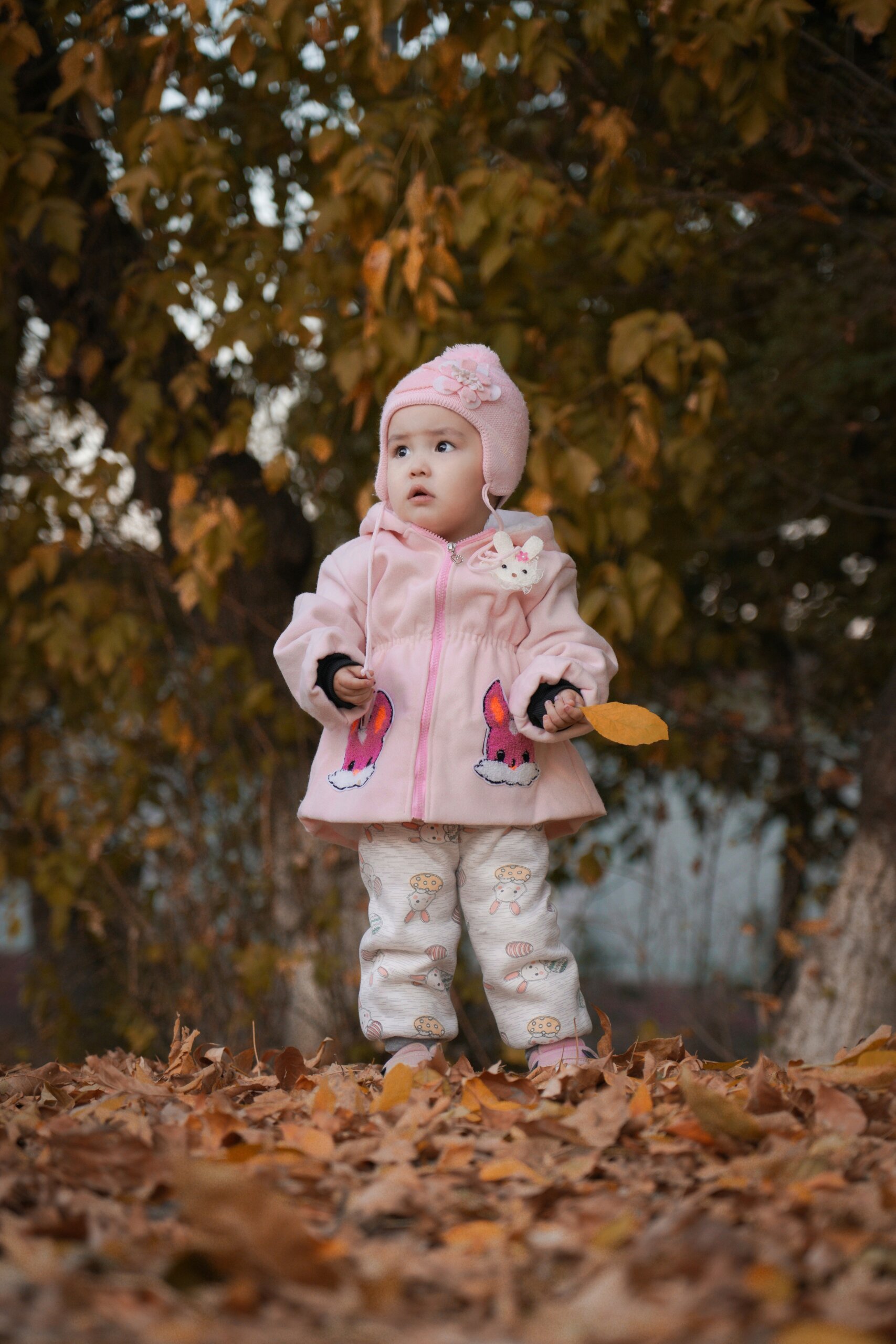 L'automne à la micro crèche